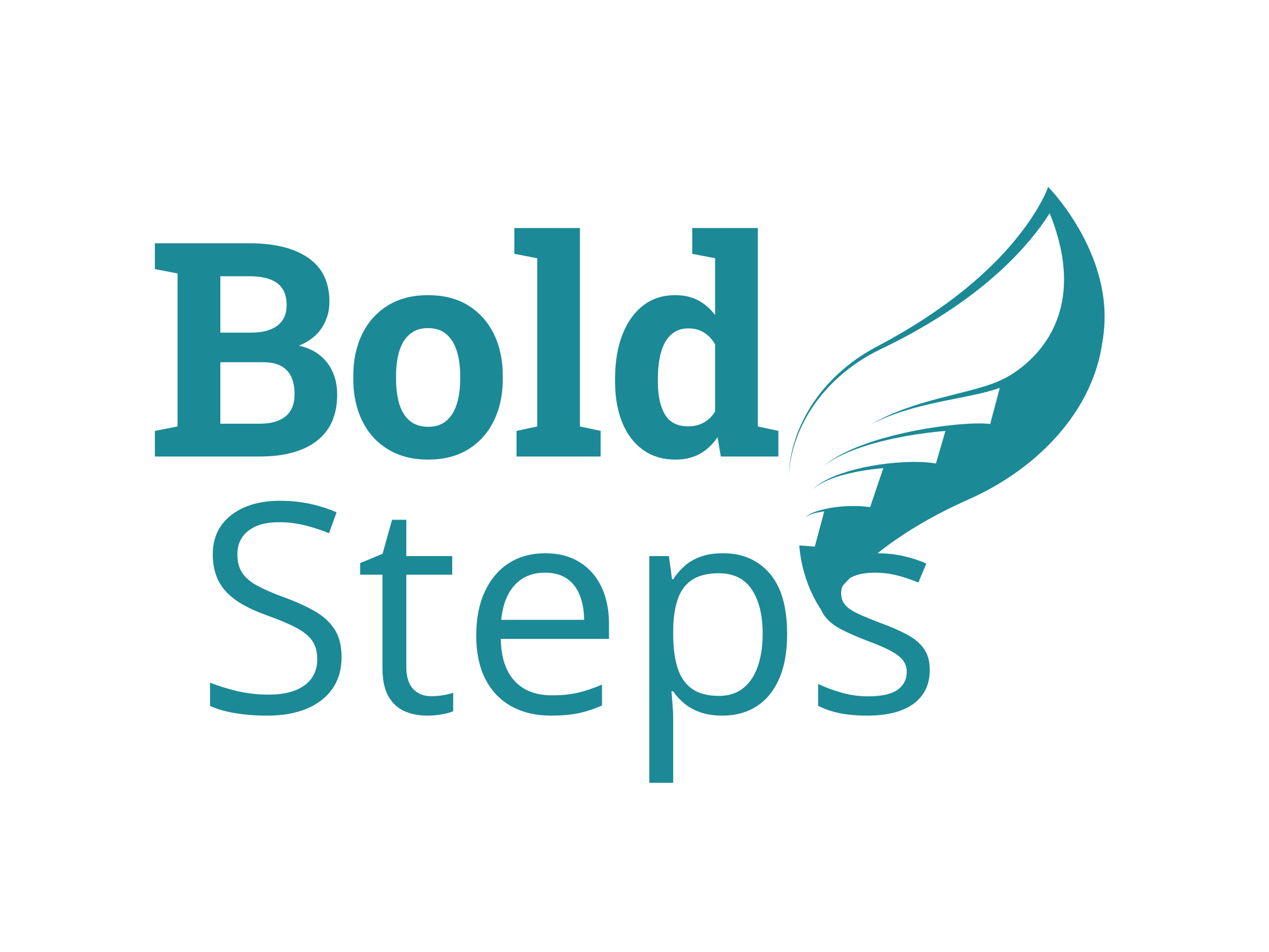 Bold Steps